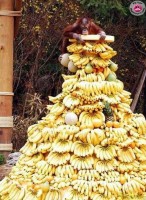 /album/humoristic/banane-jpg/