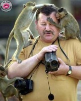 /album/humoristic/camescope-singe-jpg1/